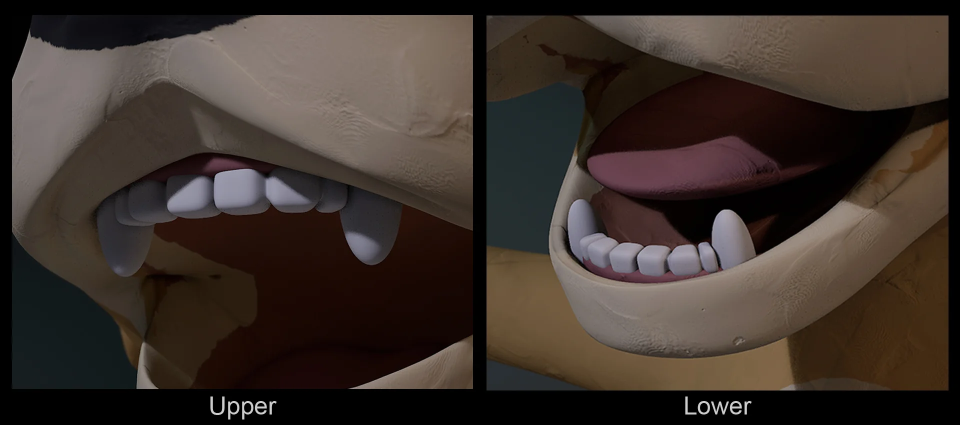 Face detail showing teeth and tongue geometry